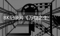 8K纪录片《万物之生·贵州篇》新视听时代的新表达